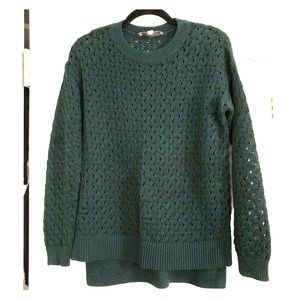 Ann Taylor Loft Green Sweater